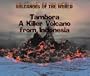 Tambora a Killer from Indonesia: A Killer Volcano from Indonesia (Volcanoes of the World)