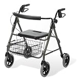 Search : Guardian Envoy 480 Heavy Duty Rolling Walker