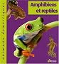 Amphibiens et Reptiles