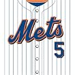 New York Mets MLB Book Cover