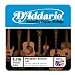 D'Addario EJ16 Acoustic Light