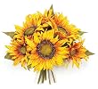 Pack of 6 Fall Artificial Silk Yellow & Gold Sunflower Bouquets 10"