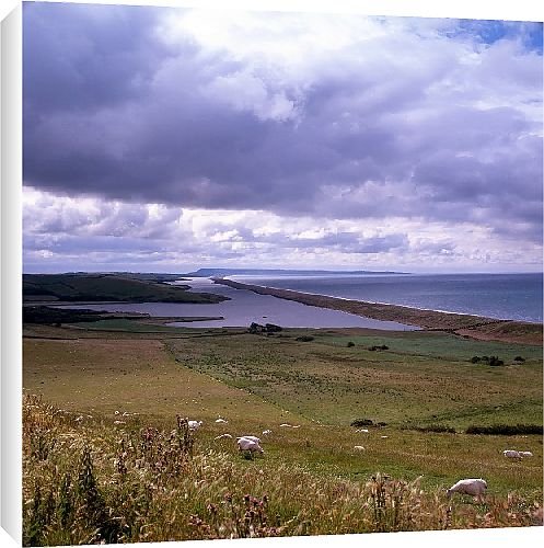 Canvas Prints of Chesil Bank from Country Life Canvas Prints of Chesil Bank from Country Life