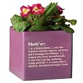 Cube Planter "Mother" - Purple (6")