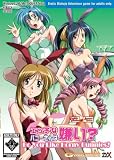 Do You Like Horny Bunnies? Bishoujo PC Game
