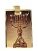24k Gold Layered Jewish Menora Photo Laser Charm/Pendant