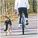 Petego Walky Dog Hands-Free Bicycle Leash