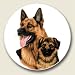 German Shepherd Auto Coaster, Single Coaster for Your Car
