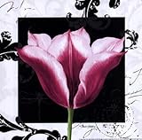 IMAGE OF Damask Tulip III HIGH QUALITY MUSEUM WRAP CANVAS Print Pamela Gladding 12x12