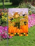 Jolly Scarecrow Fall Garden Flag by Custom Decor