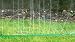 30 FEET SPRINKLER GARDEN PERFORATED WATERING SOAKER HOSE SUPPLIED WITH UNIVERSAL FITTINGS