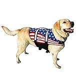 Pawz Pet Products Doggy Life Jacket, Medium, American Flag