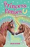 A unicorn adventure!