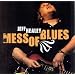GRANDS GUITARISTES BLUES