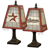 Houston Astros 14-Inch Art Glass Lamp