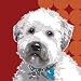 Framed Westiepoo Giclee 22x22