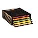 Excalibur 2500 Food Dehydrator - 5 Tray - Black - Food Dryer Kitchen Appliance - Food Storage & More