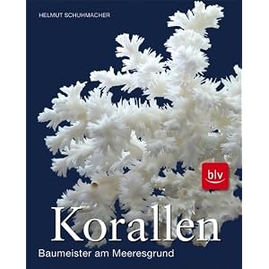 Schuhmacher: Korallen: Baumeister am Meeresgrund