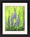 Framed Prints of USA, Oregon, Mt from Danita Delimont