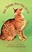 250 Things You Can Do to Make Your Cat Adore You
