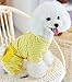 Petparty® Cute Bear Comfy Dog Pajams Dog Shirt Stripes Dog Jumpsuit Pet Dog Clothes (Yellow, XS)