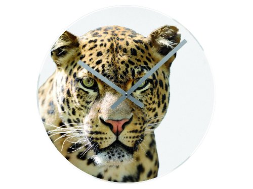 Karlsson KA5132 Wanduhr African Savannah Leopard Glas