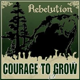 Rebelution Picture 3