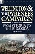 Wellington and the Pyrenees Campaign Volume I: From Vitoria to the Bidassoa