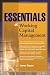 Essentials of Working Capital Management (Essentials Series)