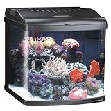 12 Gallon Nano Cube Biotope 15.8
