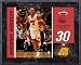 Michael Beasley Miami Heat 8x10 Color Plaque