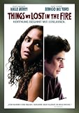 Things We Lost in the Fire - Benicio Del Toro