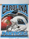 CAROLINA PANTHERS Team Logo Weather Resistant 27 by 37 VERTICAL FLAG (Indoor & Outdoor)