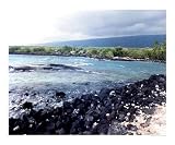 Waves crashing onto Hawiian coastline Scenic Photographic Poster Print by Dot Beverage, 20x16
