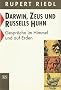 Darwin, Zeus und Russells Huhn. Gespr�che im Himmel und auf Erden