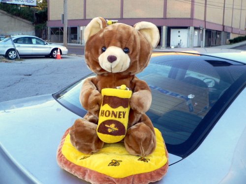 51l hwpc7nL HONEY BEE TEDDY BEAR! GIANT HUGE SOFT JUMBO 20 INCH STUFFED PLUSH TEDDY BEAR HOLDING HONEY JAR with 2 BUMBLE BEES AND PILLOW