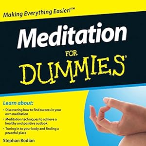Meditation For Dummies Audiobook