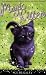 Magic Kitten