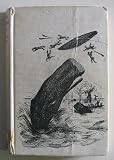 Whale Adventure