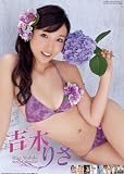 �g�؂肳 2013�J�����_�[