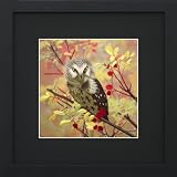 Susho, King Silk Art Handmade Silk Embroidery - An Owl Sitting on a Tree - Black Mat Framed Medium Size 31030BF