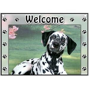 Dalmatian Welcome Sign