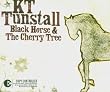 Black Horse & the Cherry..