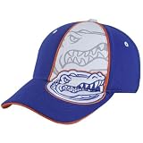 Top of the World Florida Gators Royal Blue Double Vision One-Fit Hat