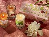 Pacifica Princess of Flowers 3 Oz Soy Wax Perfume Scented Candle Gift Set