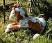 Search : Domestic Stuffed Floppy Horse 36" Canyon Floppy