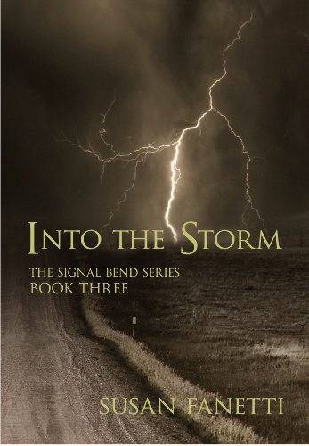 Into the Storm (Signal Bend Series Book 3)