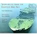 Shipwrecks from the Egyptian Red Sea