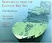 Shipwrecks from the Egyptian Red Sea
