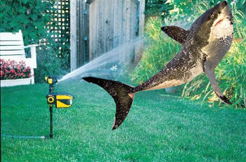Scarecrow Motion-Activated Sprinkler Dolphin Scarecrow Motion-Activated Sprinkler Dolphin